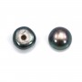 Perles de culture d'eau douce, semi-percée, gris foncé, bouton, 5-5.5mm x 30pcs