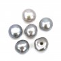 Perles de culture d'eau douce, semi-percée, gris, bouton, 4-4.5mm x 6pcs
