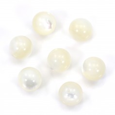 Nacre semi-percé d'un coté rond 8mm x 4pcs
