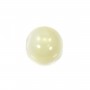 Nacre semi-percé d'un coté rond 8mm x 4pcs