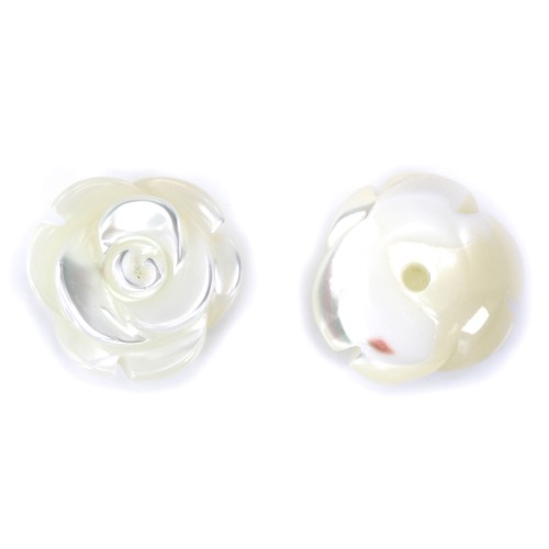 White mother-of-pearl half drilled rose 10mm x 2pcs