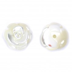 Nacre blanche en rose semi-percée 10mm x 1pc