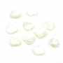 Nacre blanche en forme de coeur 6mm x 12pcs