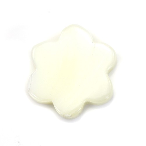Nacre blache en forme de fleur à 6 pétales 12mm x 4pcs