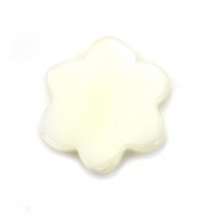 Nacre blache en forme de fleur à 6 pétales 12mm x 4pcs