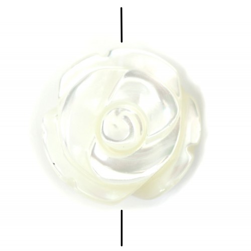 White mother-of-pearl rose bead 12mm x 2pcs