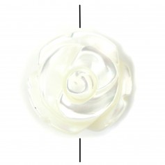 Nacre blanche en forme de rose 12mm x 2pcs