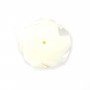Nacre blanche en rose semi-percée 15mm x 1pc