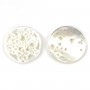 Nacre blanche et ronde avec fleurs et papillons ajourés 18mm x 1pc
