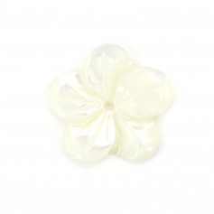 Nacre blanche en forme de fleur à 5 pétales 15mm x 1pc