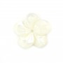 Nacre blanche en forme de fleur à 5 pétales 15mm x 1pc