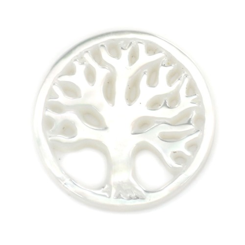 Nacre blanche ronde arbre de vie 17mm x 1pc