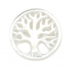 Nacre blanche ronde arbre de vie 17mm x 1pc