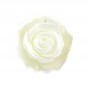 Nacre blanc 5 feuille rose 15mm x 1pc