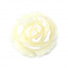 Nacre blanche en rose semi-percée 30mm x 1pc