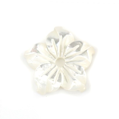 Nacre blanche en fleur de 5 pétales 10mm x 1pc