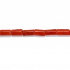 Corail rouge Naturel tube 3x5mm x 50cm