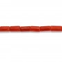 Corail rouge Naturel tube 3x5mm x 50cm