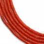 Corail rouge Naturel tube 3x5mm x 50cm