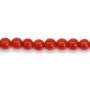 Corail rouge Naturel rond 2.5mm x 45cm