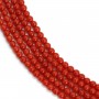 Corail rouge Naturel rond 2.5mm x 45cm