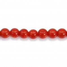 Corail rouge Naturel rond 3mm x 45cm
