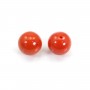 Corail Rouge Naturel goutte semi percé 5x14mm x 1pc