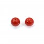 Corail Rouge Naturel rond semi percé 4mm x 1pc