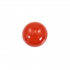 Cabochon Corail rouge Naturel rond 8mm x 1pc