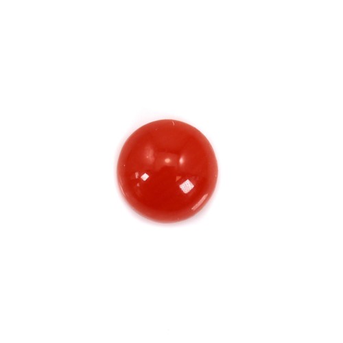Cabochon Corail rouge Naturel rond 3mm x 1pc