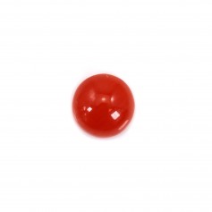 Cabochon Corail rouge Naturel rond 3mm x 1pc