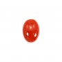 Cabochon Natural Red Coral Oval 4x6mm x 1pc