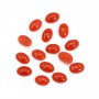 Coral Rojo Natural Cabochon Oval 4x6mm x 1pc