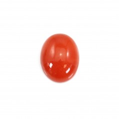 Cabochon di corallo rosso naturale ovale 4x6mm x 1pc