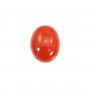 Natural Red Coral Cabochon Oval 4x6mm x 1pc