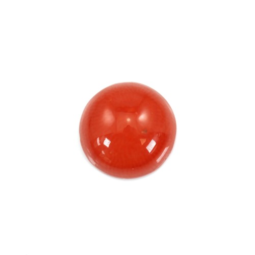 Cabochon Corail rouge Naturel rond 3mm x 1pc