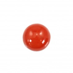 Cabochon Corail rouge Naturel rond 6mm x 1pc