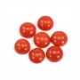 Cabochon Corail rouge Naturel rond 6mm x 1pc