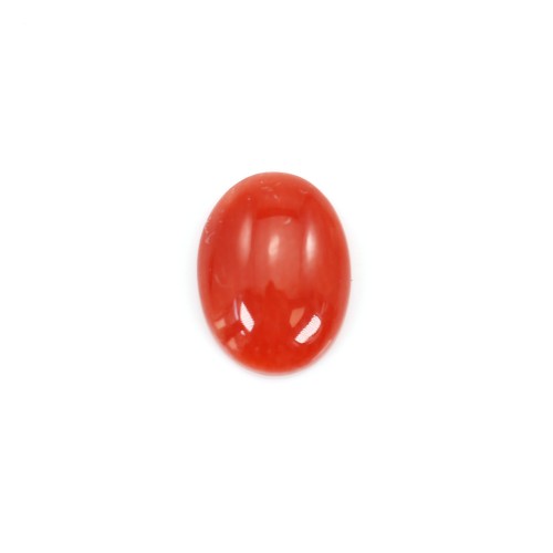 Natural Red Coral Cabochon Oval 4x6mm x 1pc
