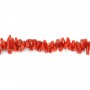 Natural red coral baroque tube x 50cm