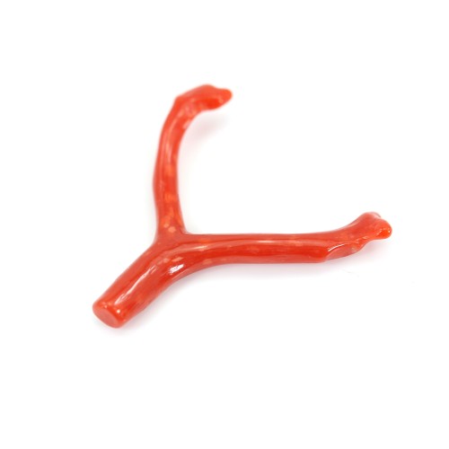 Corail rouge Naturel Branche 20-30mm x 1pc