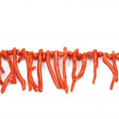 Natural red coral baroque tube x 50cm