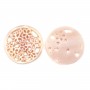 Nacre rose et ronde fleurs et papillons ajourés 18mm x 1pc
