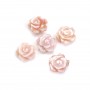 Nacre rose semi percée en forme de fleur (rose) 10mm x 1pc