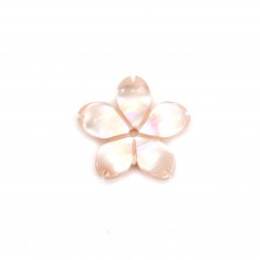 Nacre rose en fleur à 5 pétales 12mm x 1pc
