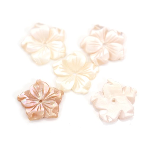 Pink mother-of-pearl 5 petal flower 15mm x 1pc