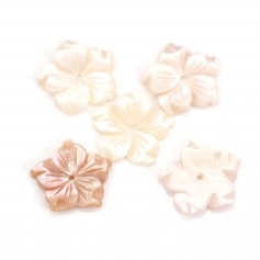Nacre rose en fleur à 5 pétales 15mm x 1pc