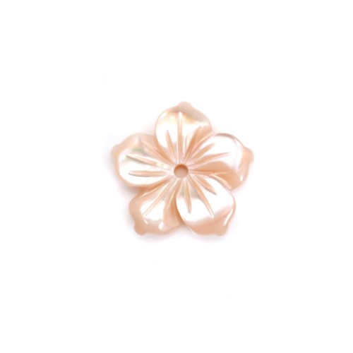Nacre rose en fleur à 5 pétales 12mm x 1pc