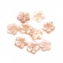 Nacre rose en fleur à 5 pétales 10mm x 1pc