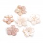 Nacre rose en forme de fleur à 5 pétales 15mm x 1pc